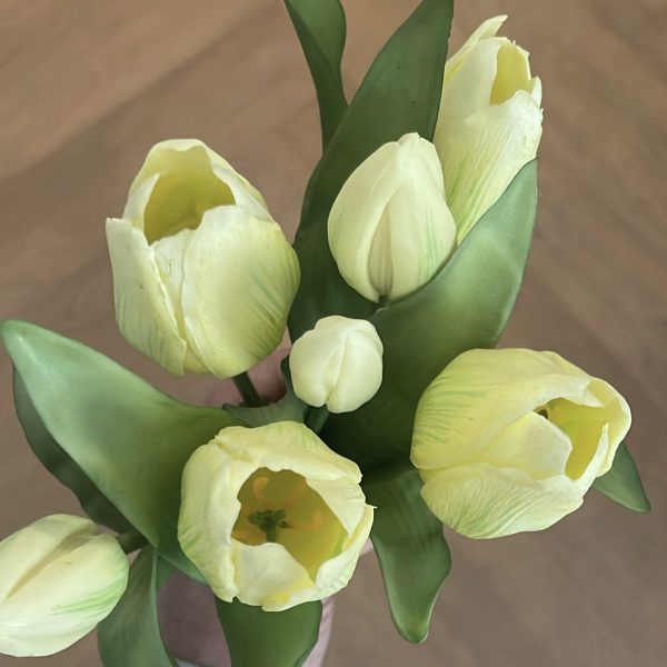 Tulpen - verschillende kleuren - Afbeelding 5