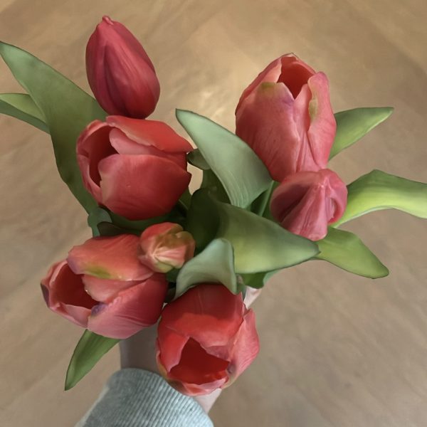 Tulpen - verschillende kleuren - Afbeelding 2