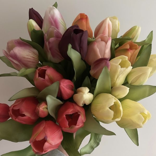 Tulpen - verschillende kleuren