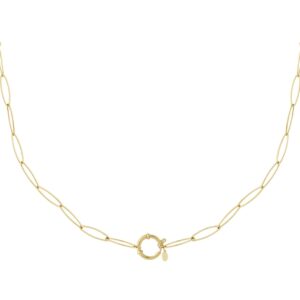 Ketting - lus goud