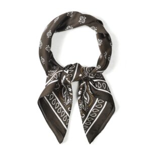 Sjaaltje paisley bruin
