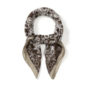 Sjaaltje paisley - bruin